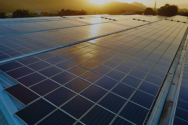 Sustainability